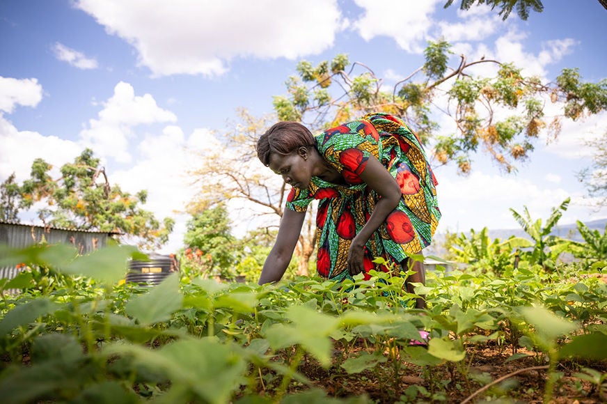 A woman works in her garden.