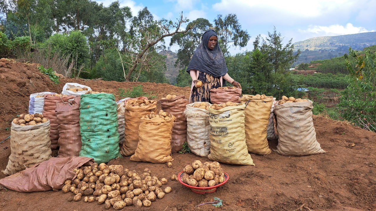 In Oromia, Ethiopia, a woman stands with several bags of potatoes.