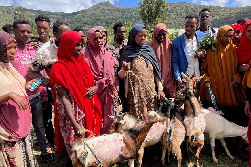 A group of people gather with goats in a rural area, celebrating or participating in an event.