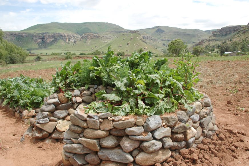 This garden in Eswatini shows the most classic keyhole construction, using stones to form the walls, but other materials like bricks or wood can be used as well.