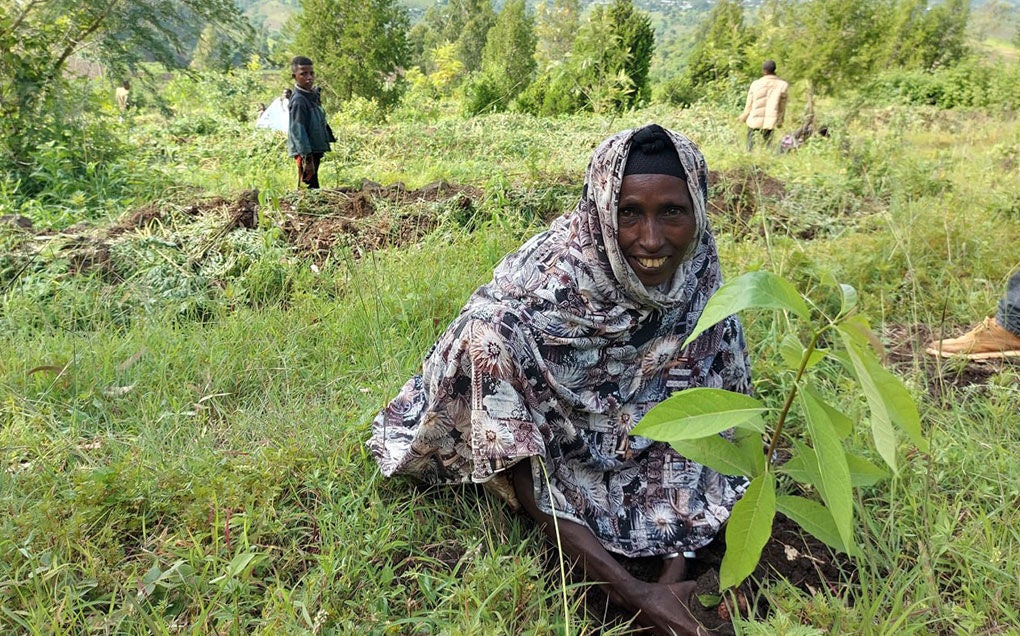 A woman smiles while planting a tree.