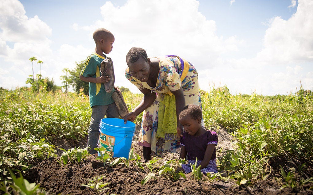 A woman and two children harvest crops.