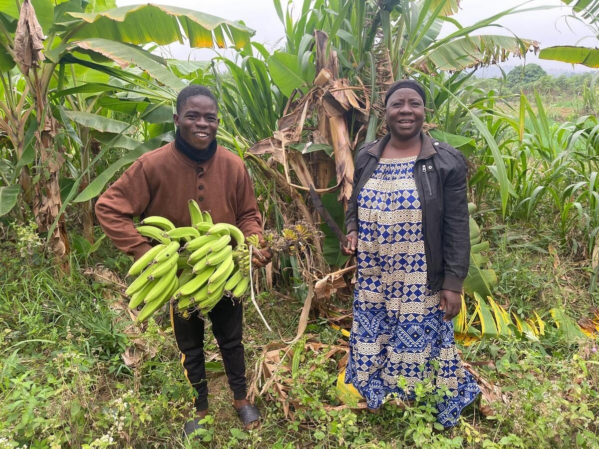 Vainqueur holding the banana regime with his mother in their banana field