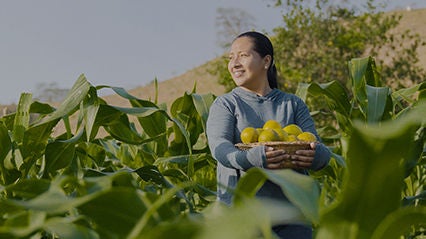 Woman smiles in a farm field, while holding a basket of oranges.