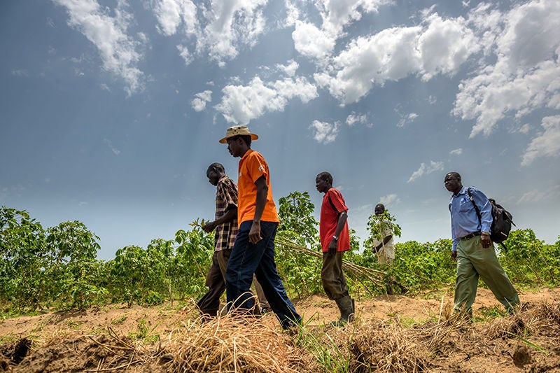 Farmers and World Vision staff discuss the progress of a community farm.