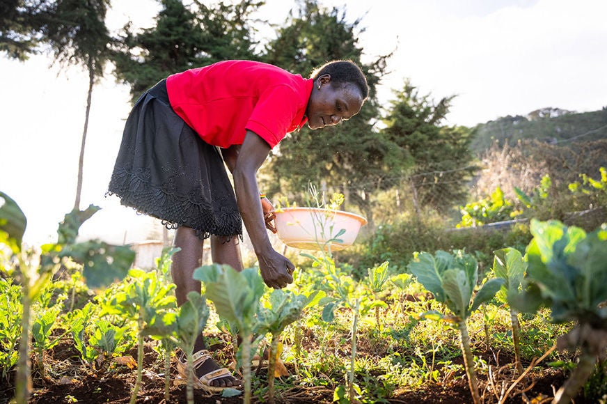 A woman picks from her garden.