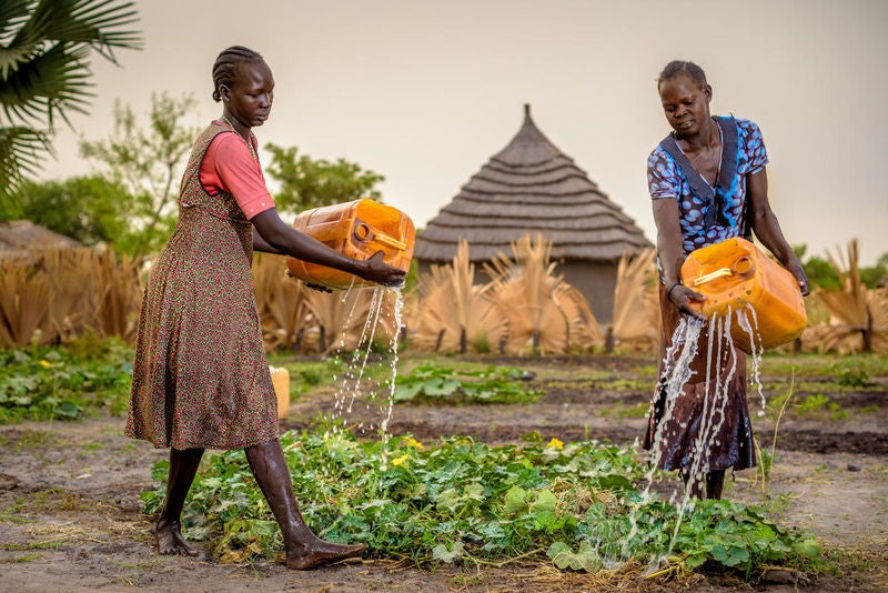 Women water their crops in South Sudan