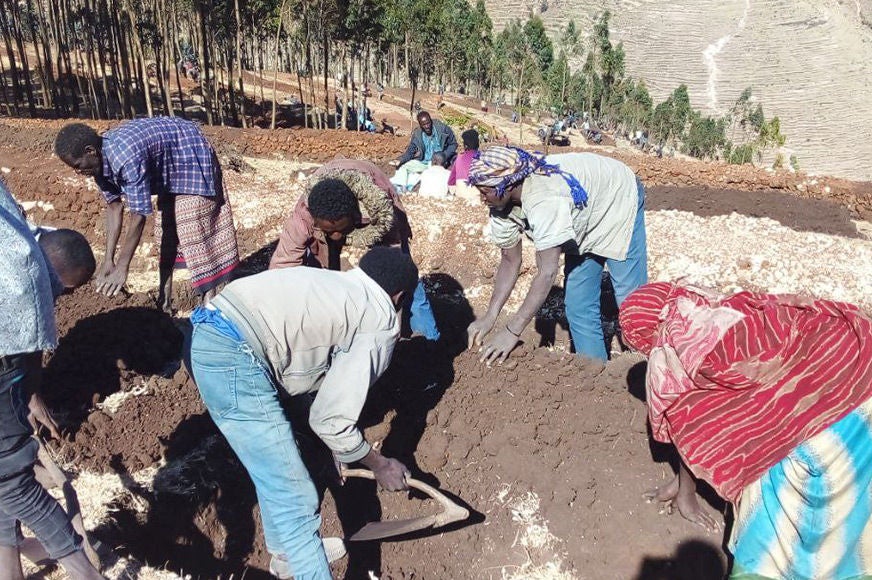 Community members participate in a soil and water conservation activity.