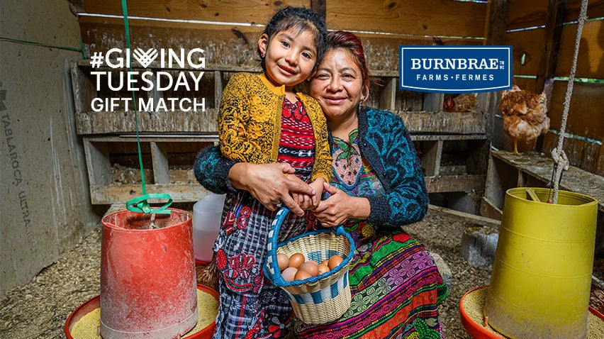 A mother and her young daughter are in a chicken coop, collecting eggs in a basket.