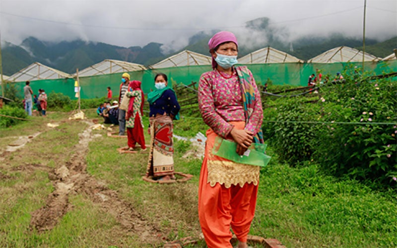 Several number of women stand far apart, in the middle of individual brick circles on the grass.