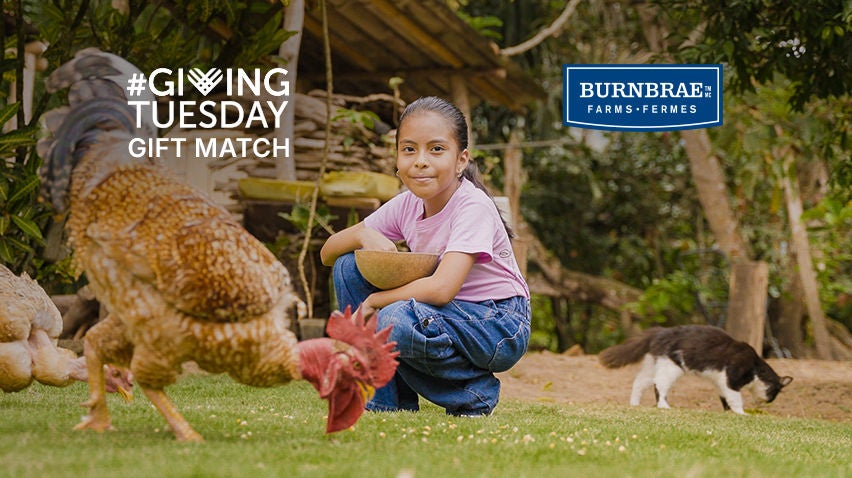 A mother and her young daughter are in a chicken coop, collecting eggs in a basket.