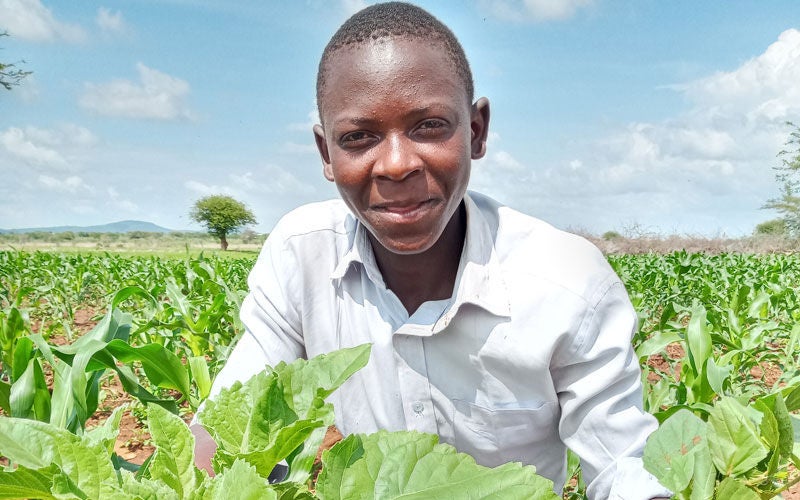 A smiling teen boy kneels in a field of crops to show off the harvest.