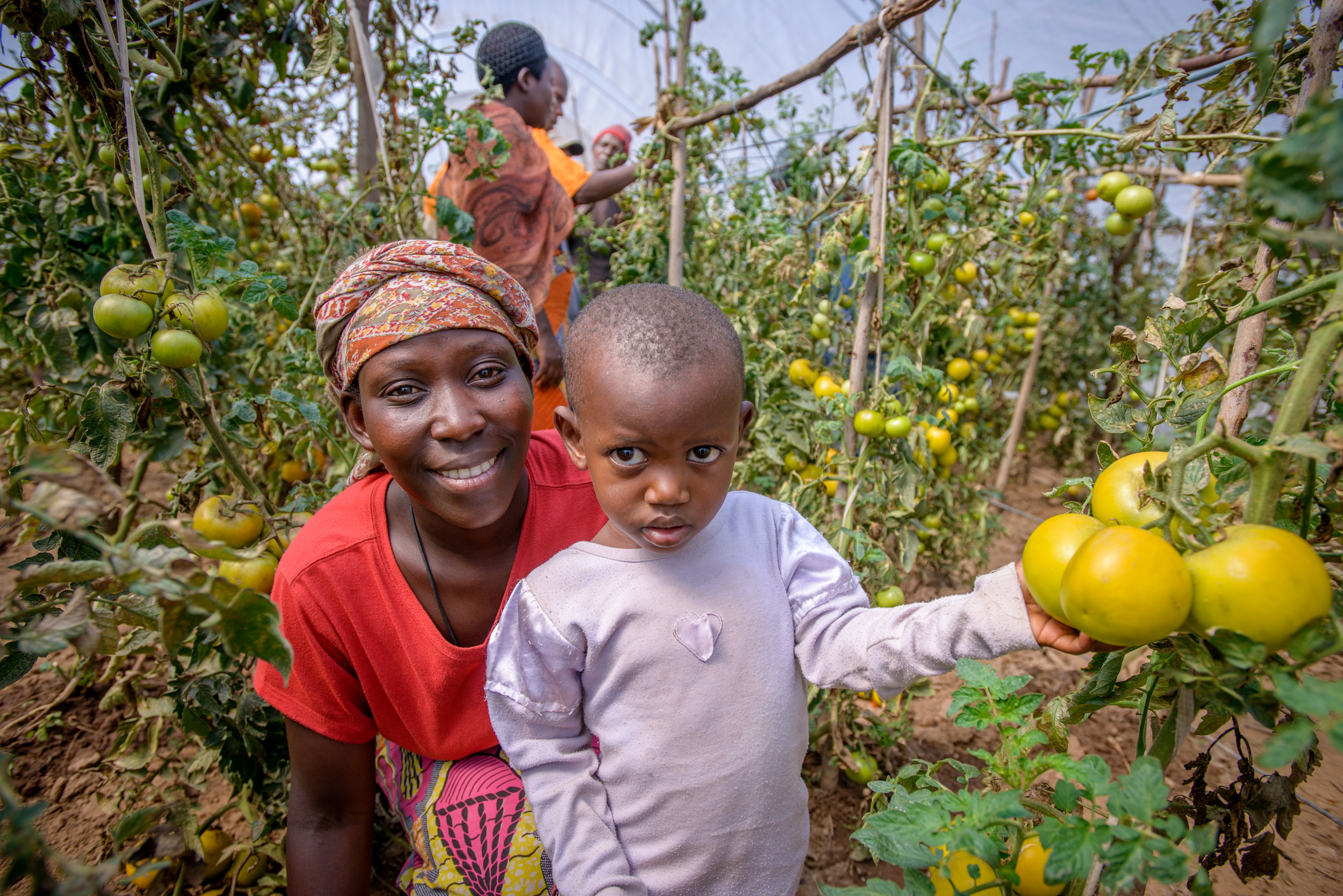 20 years post-genocide, long-term development work in Rwanda included agriculture projects to nourish a new generation of children. Photo: Jon Warren 