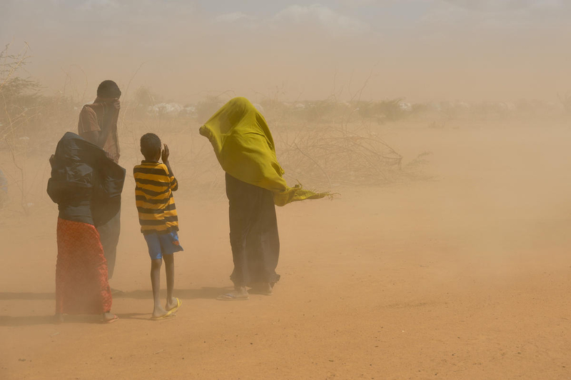 Desperate for firewood, thousands of drought refugees in Kenya’s Dadaab Refugee Camps unwittingly contributed to deforestation and blowing sand. The year was 2011. 