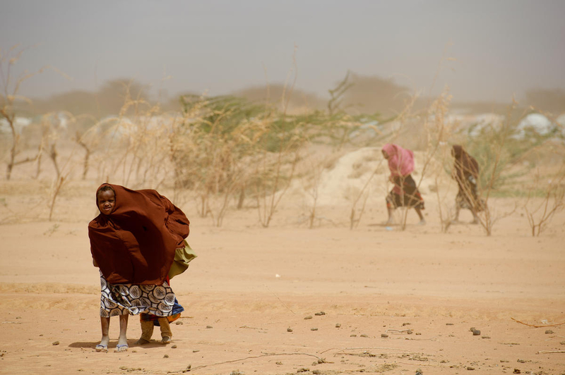 For millennia, sand and dust storms have been natural phenomena, blowing millions of tons of critical minerals and nutrients into oceans. Children, however, are more likely to suffer than benefit. 