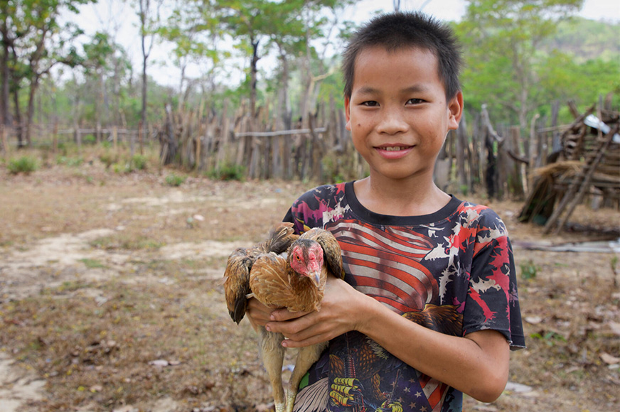 Bounhoy carrying a chicken in a farm.