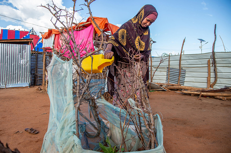 Habiba wearing a hijab watering a plant with a watering can.