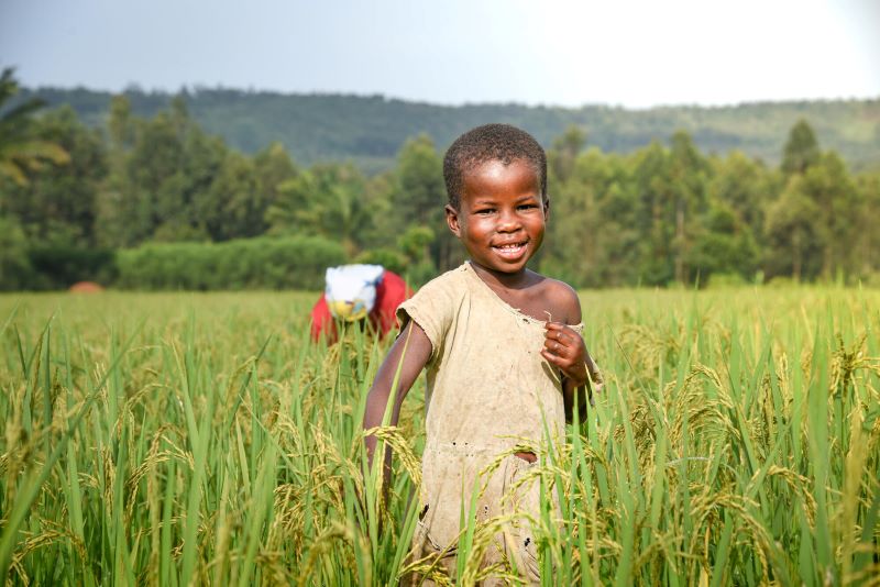 Magnifique is a survivor of malnutrition and now plays in the rice field.