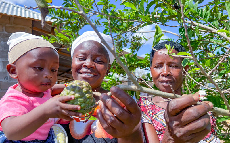 In Kenya, a World Vision program helps women workers become business owners, producing abundant harvests of maize, fruit and vegetables. This creates jobs for other women, who use their wages to provide nutritious food for their children. Photo: Martin Muluka