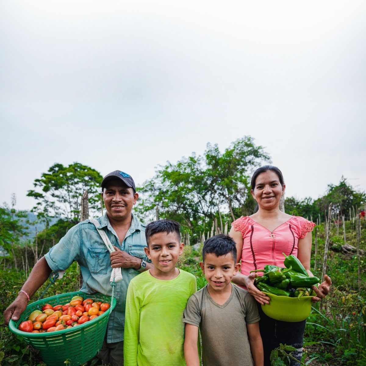 EM8 - EN MULTIPLIER TEMPLATE - ogc-agricultural-packs-happy-family-product-image