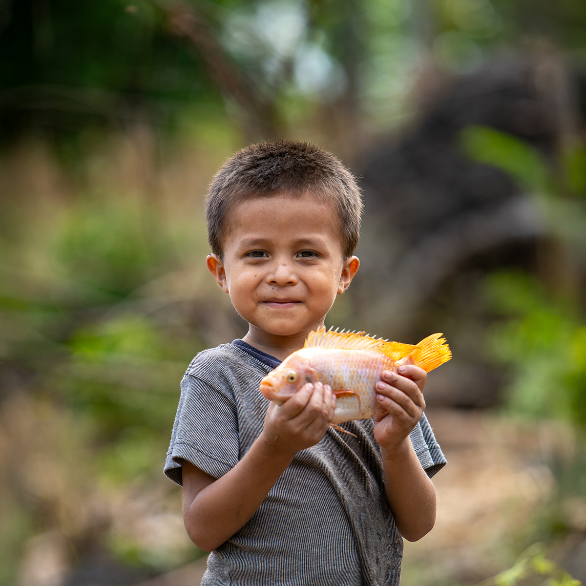 A young boy in a grey t-shirt proudly holds up an orange and yellow fish.