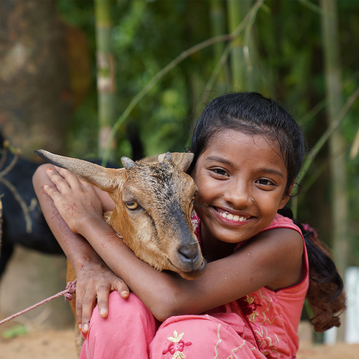 A smiling girl holds a goat in her arms outside.