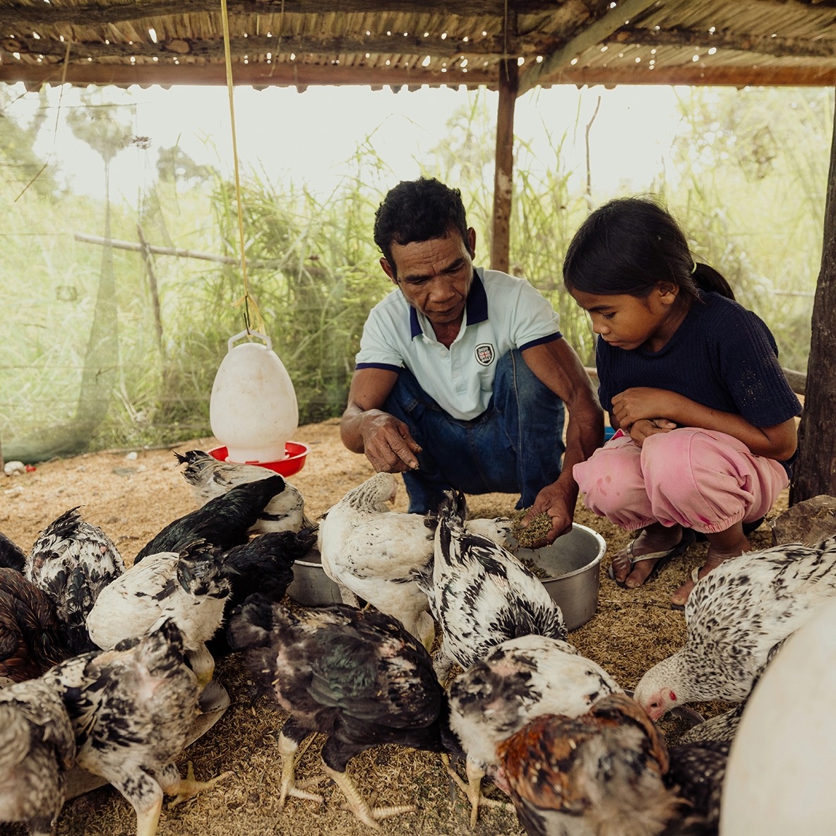 A man and girl feed chickens in a rustic coop.