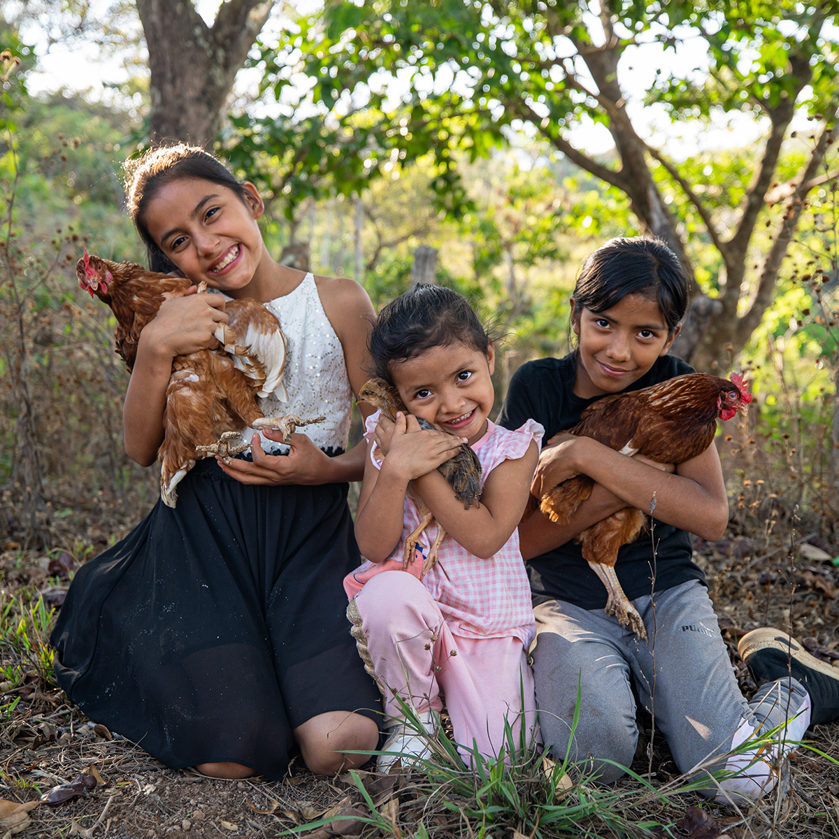 Three girls kneel in a wooded area while cuddling chickens in their arms, pressing them against their cheeks.