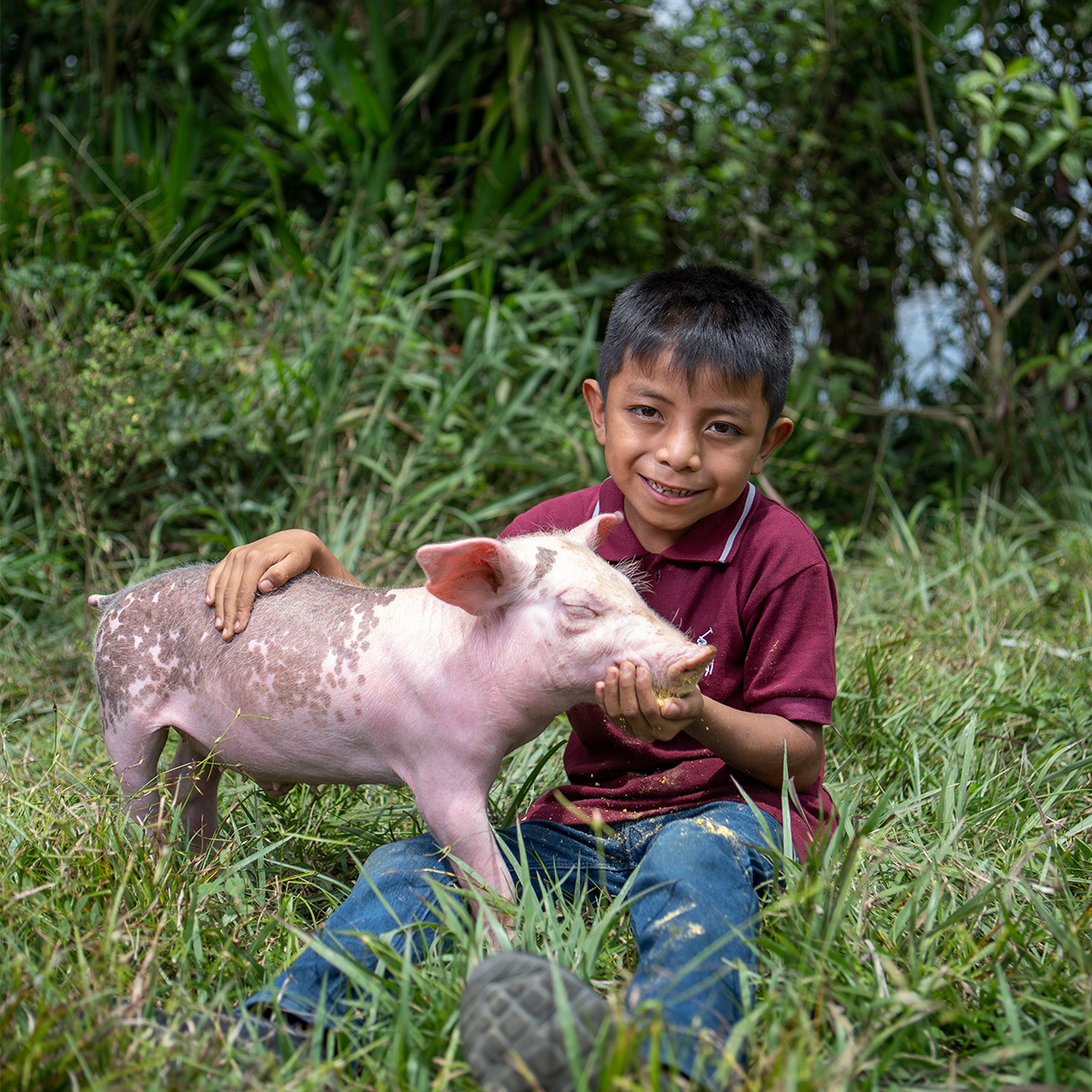 A smiling young boy in a burgundy T-shirt feeds a piglet.